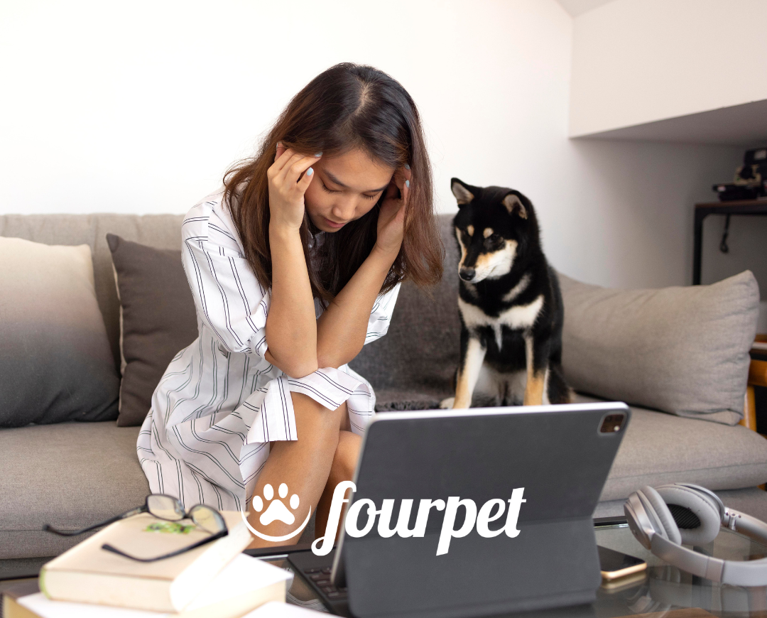 5 atitudes que prejudicam o crescimento de seu Pet Shop