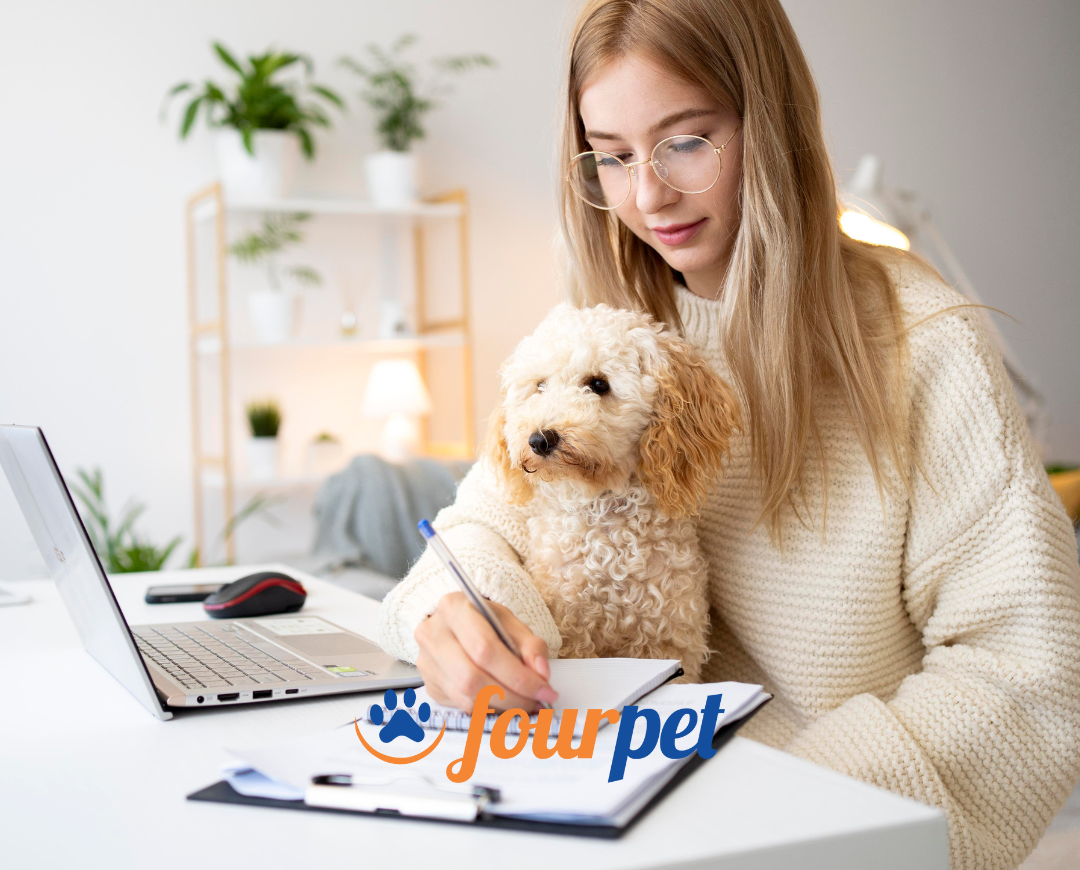 Como melhorar a gestão do tempo em seu Pet Shop?
