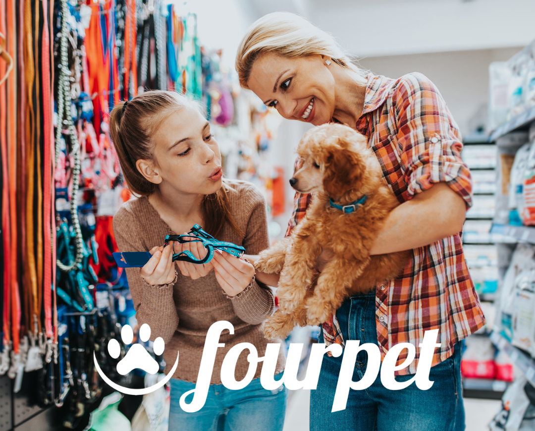 5 dicas para encantar os clientes de seu Pet Shop