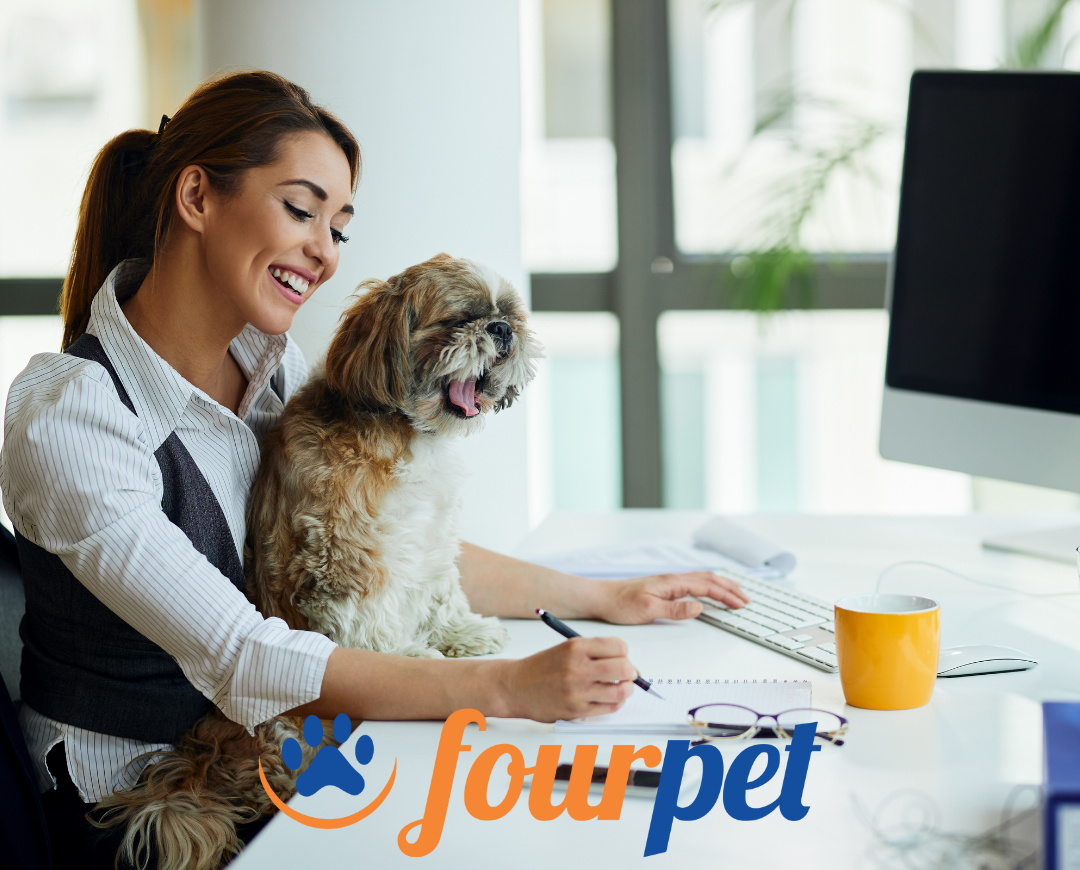 5 dicas de marketing para seu Pet Shop