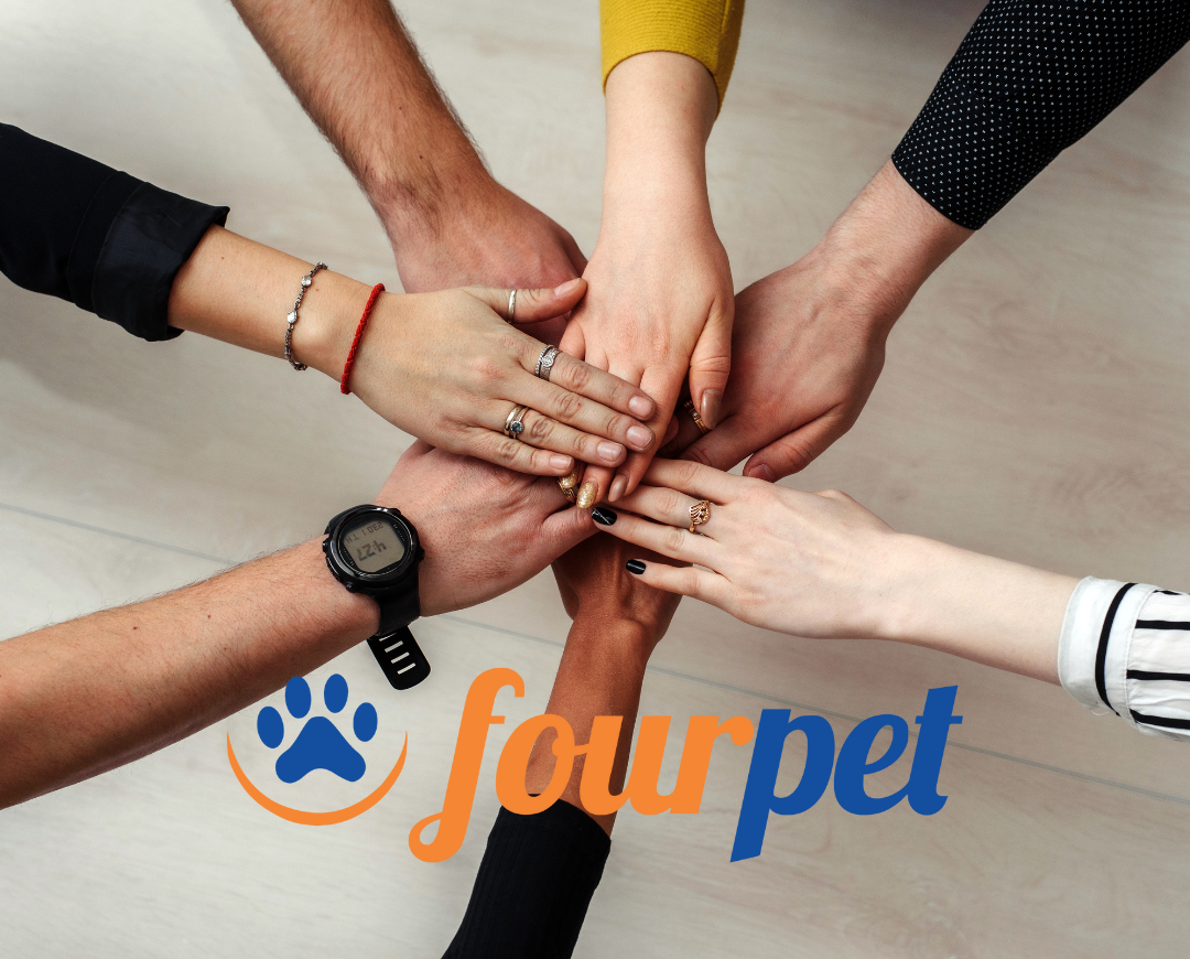 Como aumentar a produtividade da equipe de seu Pet Shop?