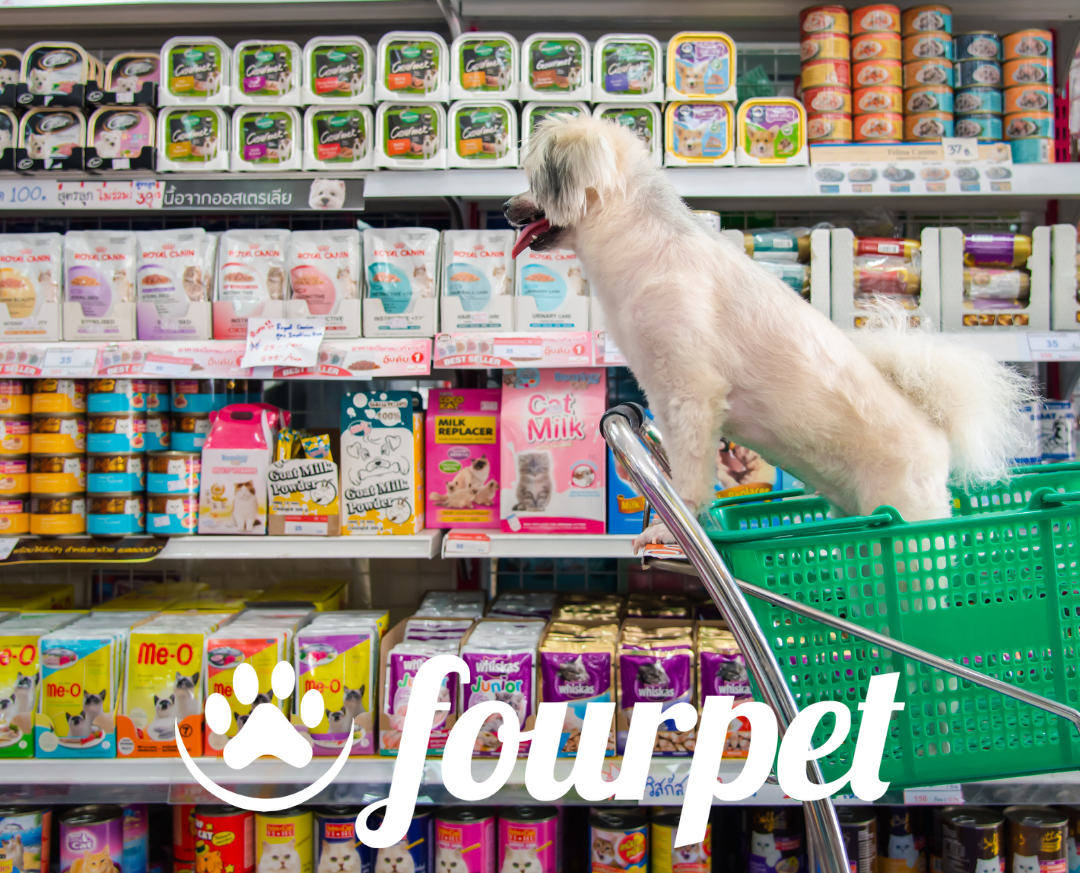 Black Friday: 5 dicas para seu Pet Shop vender mais