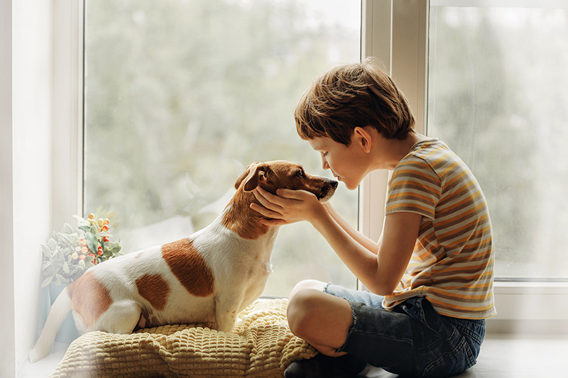 Dia Nacional dos Animais: Como comemorar a data?